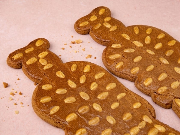 Speculaas pop 50cm
